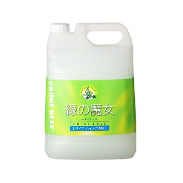 緑の魔女 洗剤 液体洗剤 キッチン 業務用 5L ミマスクリーンケア 5000mL 詰め換え 詰替え キッチン用 大容量 ドイツ 食器 生ゴミ パイプ ぬめり【D】