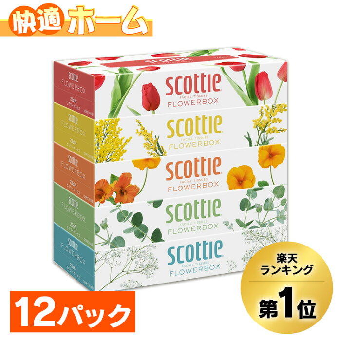 《目玉価格 ! ! ! 》【60個セット】 ティッシュ スコッティ 箱ティッシュ まとめ買い 送料無料 フラワーボックス ティッシュペーパー 紙 ボックスティッシュ ティシュー フラワーボックス 320枚(160組) 5箱×12個セット 日本製紙クレシア　【広告】【pickup】【wgs】