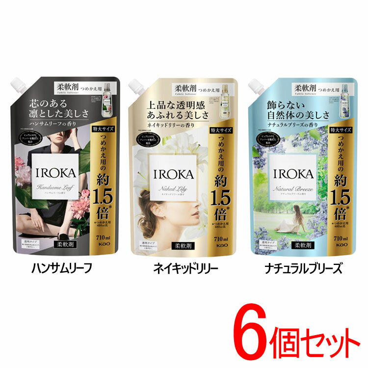 【6個セット】 柔軟剤 フレアフレグランス IROKA 特大詰替 710ml セット送料無料 花王 フレアフレグランスIROKA 柔軟剤 衣料用 残香 プレミアム 詰替え 大容量 まとめ買い つめかえ 花王 ネイキッドリリー ナチュラルブリーズ セット ハンサムリーフ【D】