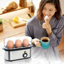 ゆで卵メーカー エッグスチーマー エッグクッカー 簡単 キッチン 時短 調理器具 料理 家電 蒸し器 スチーム 蒸し料理 半熟 固ゆで 3個 シルバー 軽量 サンコー SUFAEGSSL 【B】