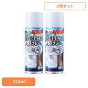【2個セット】洗濯槽クリーナー 洗濯槽洗剤 泡スプレー らくらく洗濯槽まるごと泡スプレー 220ml 54024100洗濯槽クリーナー 洗濯槽洗剤 泡スプレー ...