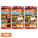 アース製薬 虫除け 入り口 アース 虫よけネットEX 1年用 通常用2個+玄関用1個 玄関 ベランダ 窓 アース 防虫 吊るす 速攻 広範囲 防水 あーす EARTH
