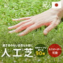 \好きなサイズを選べる/ 人工芝 アイリスオーヤマ 国産 防草 シート一体型 30mm ロール 1m×1m〜4m×7m 芝丈3cm リアル 防草 芝生 雑草防止...