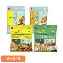 BODYSTAR ボディスター プロテインスナックバーベキュー味 40g おやつカンパニー BODY STAR プロテイン タンパク質 大豆 スナック おやつカ...