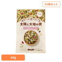 【10個】まいにち食べたい 太陽と大地の実 トレイルミックス 岩塩 国内製造 正栄食品 ミックスナッツ シード ナッツ まいにち食べたい 焙煎 個包装