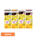 ムースカラー ヘアカラー ホーユー シエロ CIELO 白髪染め ムース ワンプッシュ アッシュブラウン フローラル hoyu アッシュブラウン かなり明るいキャラメルブラウン より明るいピンクブラウン 明るいピンクブラウン
