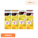 【5個】ムースカラー ヘアカラー ホーユー シエロ CIELO 白髪染め ムース ワンプッシュ アッシュブラウン フローラル hoyu アッシュブラウン かなり明るいキャラメルブラウン より明るいピンクブラウン 明るいピンクブラウン