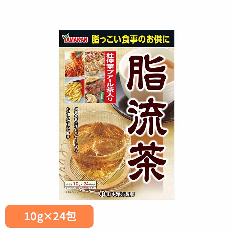 脂流茶 10g×24包 健康食品 24パック 山本漢方 冷水 煮だし 山本漢方製薬 要