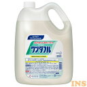 ＼18日限定 ポイント最大4倍／ ワンダフル 4.5kg業務用 洗剤 食器 植物系 洗浄機 AG Kao 前洗い プロフェッショナル 高級アルコール系 【D】