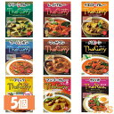 【最大400円クーポン】 【5個】タイカレー ガパオ 全9種