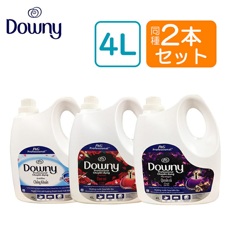 【同種2本セット】 柔軟剤 ダウニー アジアンダウニー 4L送料無料 ダウニー 4.0L 柔軟剤 大容量 ベトナムダウニー オードプリベンション リネンケア パッション ミスティック ミスティックリネンケア 4000ml 【D】のサムネイル