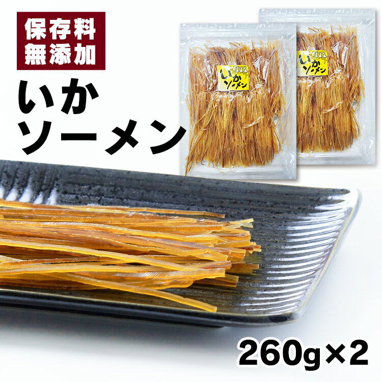 【2袋】いかソーメン 260g×2いか イカソーメン するめソーメン おやつ 珍味 やみつき おつまみ 家飲み ダイエット 噛む オーシャン・フォレスト 【D】【メール便】【代引不可】