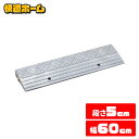 段差プレート 幅60cm 屋外用 5cm段差 プラ NDP-60AE 段差スロープ スロープ 駐車場 段差解消 車 車庫 玄関 玄関前 庭 つまづき防止 転倒防止 バイク 自転車 シニアカー スクーター 車いすの乗り上げ バリアフリー ガレージ 屋外用 アイリスオーヤマ(2)