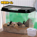飼育ケース アイリス 昆虫 虫かご 飼育ランド ジャンボサイズ CY-3L (パールブルー/ブラック)