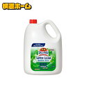 バスマジックリン SUPER CLEAN 4.5L 業務用 業務用 洗剤 浴室 除菌 消臭 防カビ Kao ヌメリ防止 プロフェッショナル グリーンハーブ