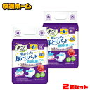 【2個セット】肌ケア アクティ 大人用紙おむつ 尿とりパッド 消臭抗菌プラス 8回分吸収 18枚 肌ケアアクティ 大人用紙おむつ 尿とりパッド おしっこ約8回分...