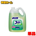 ファミリーフレッシュ 4.5kg 業務用 洗剤 食器 台所洗剤 油汚れ 泡切れ Kao ライムの香り プロフェッショナル 植物由来