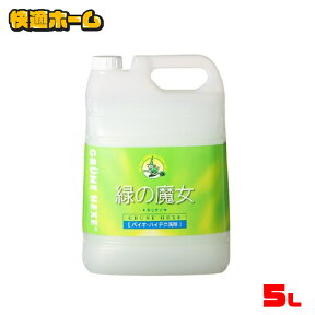 ◆超目玉価格2,580円◆ 緑の魔女 キッチン 業務用 洗剤 　5kg 緑の魔女 業務用 食器用 パイプクリーナー 排水管掃除 洗剤業務用 緑の魔女業務用 業務用洗剤 パイプクリーナー洗剤 業務用緑の魔女 ミマスクリーンケア 【D】