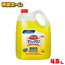 【大容量タイプ】 バスマジックリン 4.5kg 送料無料 業務用 洗剤 浴室 除菌 お風呂洗剤 Kao 中性タイプ プロフェッショナル マジック泡