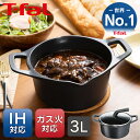 キャストライン アロマ プロ シチューポット 両手鍋 20cm ガラス蓋付 E25144 送料無料 軽さ 使いやすさ 蓄熱性 アルミ製鋳造 T-fal ティファール