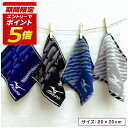 【9日20:00~16日1:59 エントリーでP5倍】ミズノ mizuno ハンカチタオル 20×20cm 綿100% 両面パイル ジャガードタオル N5023...