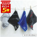 【9日20:00~16日1:59 エントリーでP5倍】ミズノ mizuno ハンカチタオル 25×25cm 綿100% 両面パイル ジャガードタオル ライト ヘ...