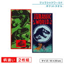【GW限定ポイント5倍 5月6日23:59迄】ジュラシックワールド ポケットタオル 2枚セット 20×10cm 綿100% パイルジャガード 両面パイル地 抗菌...