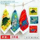【GW限定ポイント5倍 5月6日23:59迄】ジュラシックワールド ハンドタオル 柄違い 3枚セット 30×30cm 綿100% 制菌加工 キャラクター 恐竜 ...
