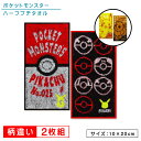 ポケットモンスター ポケモン ポケットタオル 2枚セット 20×10cm 綿100％ ジャガードタオル ネームタグ付き キャラクター モンスターボール ピカチュウ イーブイ プチタオル ハーフプチ 保育園 幼稚園 小学校 子供 ハンカチ 男の子 女の子 pkt 【メール便OK】