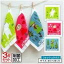 【GW限定ポイント5倍 5月6日23:59迄】ムーミン MOOMIN ハンドタオル 柄違い 3枚セット 30×30cm 綿100% 制菌加工 カラフルライク キ...