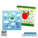 はらぺこあおむし ハンドタオル 34×35cm 綿100% キャラクター エリックカール ウォッシュタオル 保育園 幼稚園 小学生 手拭き 口拭きタオル 男の子...