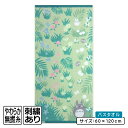 【GW限定ポイント5倍 5月6日23:59迄】となりのトトロ バスタオル 60×120cm 綿100% 無撚糸 2パイルガーゼ 刺繍 今治 オーガニックコットン...