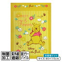 【9日20:00~16日1:59 エントリーでP5倍】【メール便送料無料】ディズニー くまのプーさん タオルケット ハーフサイズ 85×115cm 綿100% ...
