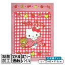 【9日20:00~16日1:59 エントリーでP5倍】【メール便送料無料】サンリオ ハローキティ タオルケット ハーフサイズ 85×115cm 綿100% 制菌...