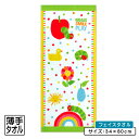 【GW限定ポイント5倍 5月6日23:59迄】はらぺこあおむし フェイスタオル 34×80cm 綿100% エリックカール キャラクター 手拭き 顔拭きタオル ...