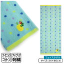 【エントリーで最大P6倍 7月26日1:59迄】はらぺこあおむし フェイスタオル 34×80cm 綿100% オーガニックコットン アップリケ付き キャラクター...