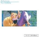 【GW限定ポイント5倍 5月6日23:59迄】ディズニー プリンセス ラプンツェル フェイスタオル 34×80cm 綿100% 映画のワンシーン柄 キャラクター...