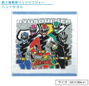 【GW限定ポイント5倍 5月6日23:59迄】【アウトレットアイテム】騎士竜戦隊 リュウソウジャー ハンドタオル 34×36cm 綿100% キャラクター ウォ...