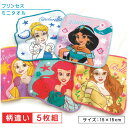【GW限定ポイント5倍 5月6日23:59迄】ディズニー プリンセス ミニタオル 柄違い 5枚セット 15×15cm 綿100% 制菌加工 ドリームパステル キ...