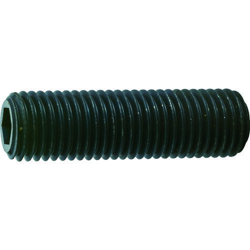 Rakuten - TRUSCO　六角穴付き止めネジ　平先　スチール　M16X15　6本入 B631615