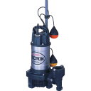 寺田 汚水用水中ポンプ 自動 100V 50Hz PGA250