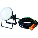 TRUSCO LED投光器 DELKURO 20W 5m アース付 2芯3芯両用タイプ RTLE205EP(4)
