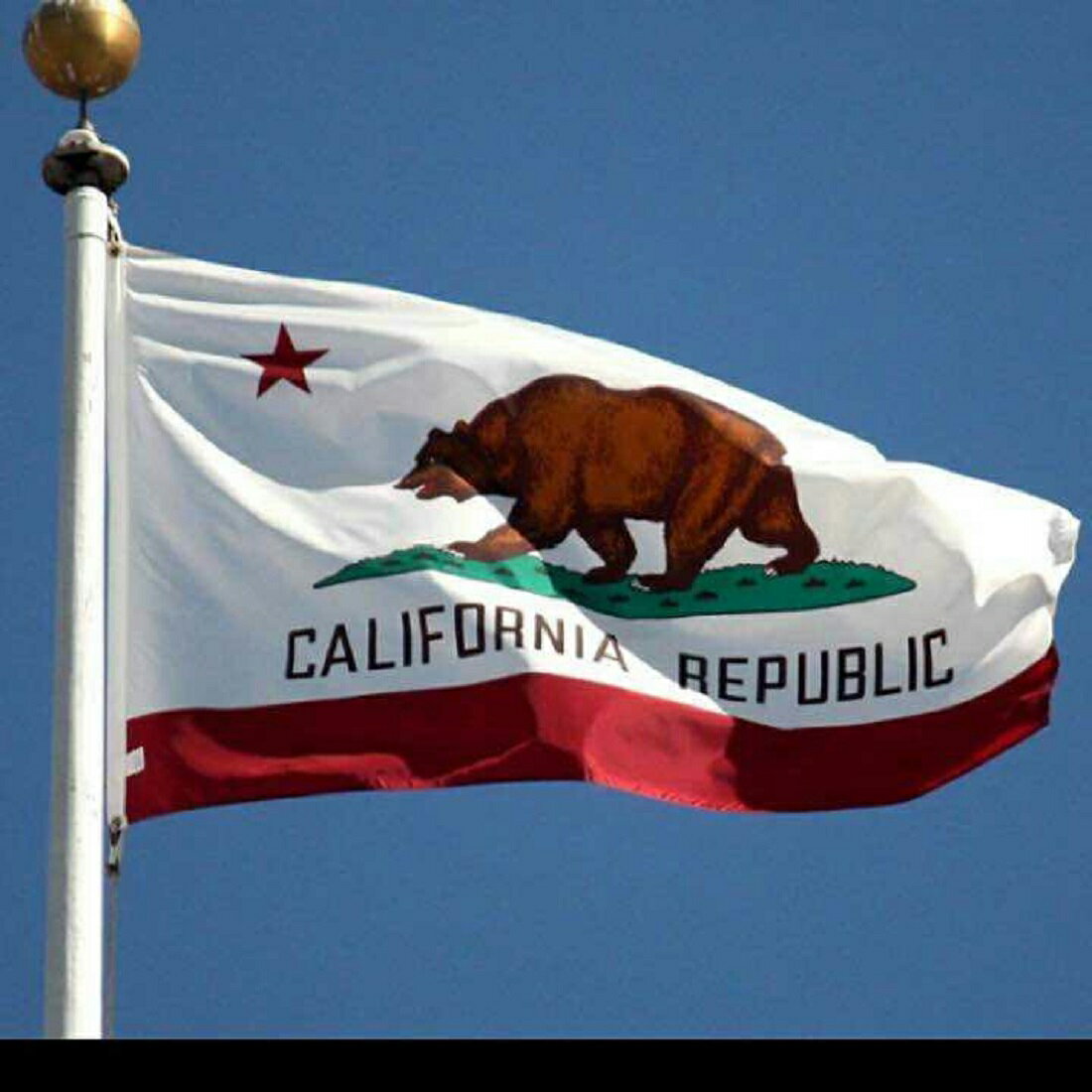 カリフォルニア フラッグ 州旗 タペ