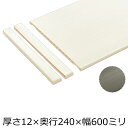 【ポイント4倍＆高額クーポン】樹脂棚板（12×240×600・8枚入り） 南海プライウッド NANKAI 建材プロ じゅうたす