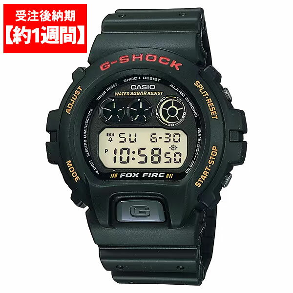 ڹʡ DW-6900B-9  ӻ Gå CASIO  