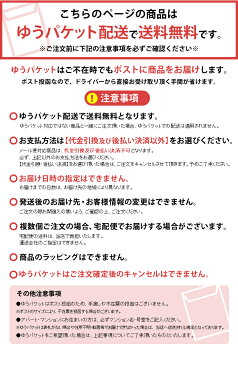 《メール便で送料無料》 薄肉メラミンプレート ブルックリン MPL20P送料無料 皿 割れにくい 軽量 丈夫 スケーター ブラック・グリーン・ブラウン・ベージュ【D】 【代金引換、後払い決済不可・日時指定不可】 【MAIL】