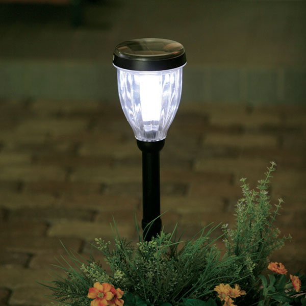 �����ǥ��ѥ����顼�饤�� GSL-P6W �ۥ磻��