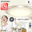 󥰥饤  8 led ĴĴ ŷ  ŵ  ꥢե졼 CL8DL-6.1CFUV᥿륵å     ꥹޡ̵