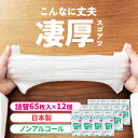 【12個セット】除菌 ウェットティッシュ ノンアルコール 詰め替え 消毒 日本製 厚手 65枚 アイリスオーヤマ除菌シート ノンアルコール 詰め替え 65枚入り 国産 ノンアルコールタイプ 厚み 厚め コンパクト 除菌 無香料 厚み お掃除 一拭き 消毒 WTT-65N