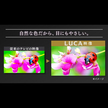 [6/14 24h限定P2]テレビ 4K 55型 55インチ TV 55V ブラック 55UB20K 送料無料 液晶テレビ 4K対応液晶テレビ 地デジ BS CS リビング アイリスオーヤマ